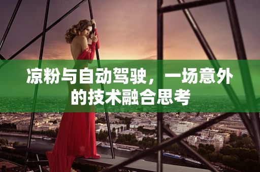 凉粉与自动驾驶，一场意外的技术融合思考