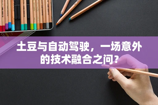 土豆与自动驾驶，一场意外的技术融合之问？