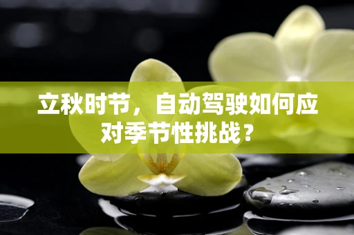 立秋时节，自动驾驶如何应对季节性挑战？