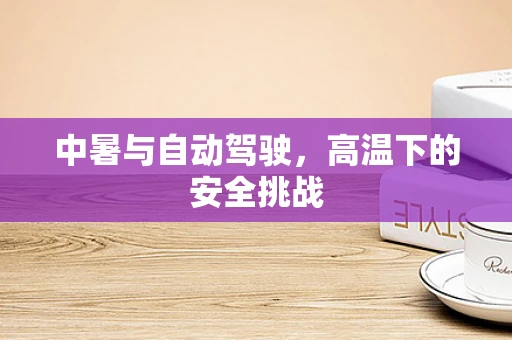 中暑与自动驾驶，高温下的安全挑战