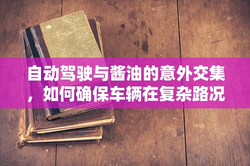 自动驾驶与酱油的意外交集，如何确保车辆在复杂路况下的安全行驶？