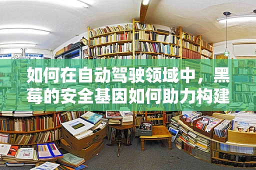 如何在自动驾驶领域中，黑莓的安全基因如何助力构建更安全的出行环境？