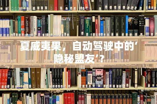 夏威夷果，自动驾驶中的‘隐秘盟友’？