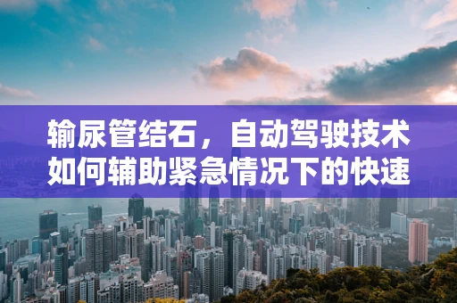 输尿管结石，自动驾驶技术如何辅助紧急情况下的快速应对？