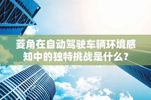 菱角在自动驾驶车辆环境感知中的独特挑战是什么？