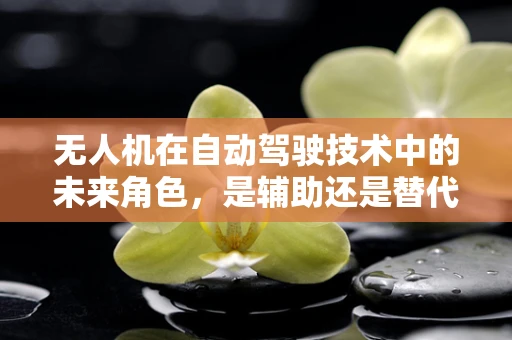 无人机在自动驾驶技术中的未来角色，是辅助还是替代？