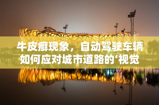 牛皮癣现象，自动驾驶车辆如何应对城市道路的‘视觉污染’？