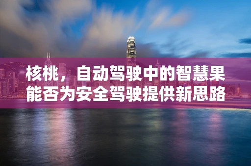 核桃，自动驾驶中的智慧果能否为安全驾驶提供新思路？