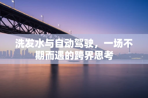 洗发水与自动驾驶，一场不期而遇的跨界思考