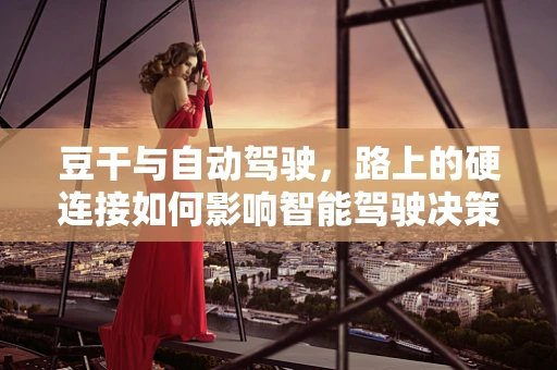 豆干与自动驾驶，路上的硬连接如何影响智能驾驶决策？