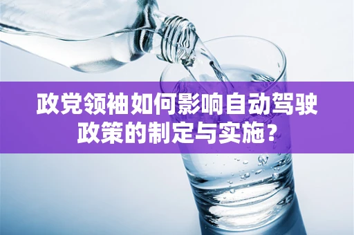 政党领袖如何影响自动驾驶政策的制定与实施？