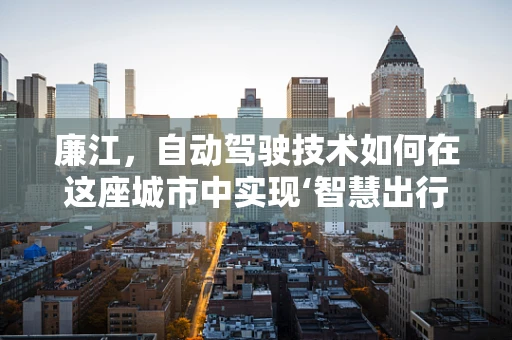 廉江，自动驾驶技术如何在这座城市中实现‘智慧出行’的潜力？