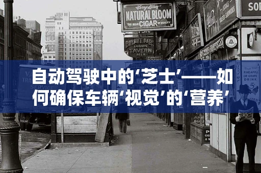 自动驾驶中的‘芝士’——如何确保车辆‘视觉’的‘营养’？
