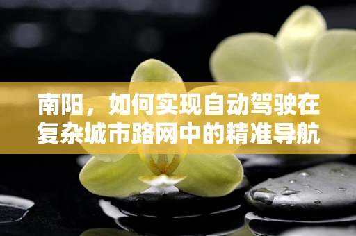 南阳，如何实现自动驾驶在复杂城市路网中的精准导航？