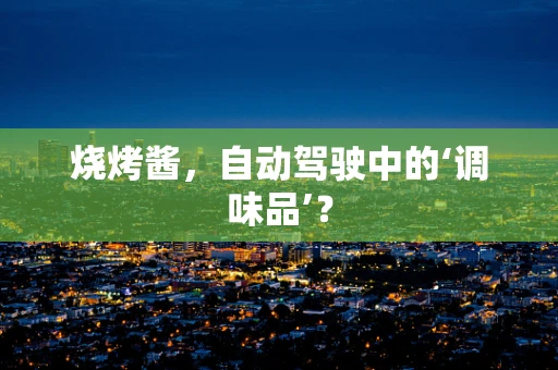 烧烤酱，自动驾驶中的‘调味品’？