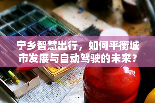 宁乡智慧出行，如何平衡城市发展与自动驾驶的未来？