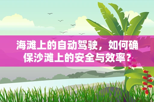 海滩上的自动驾驶，如何确保沙滩上的安全与效率？