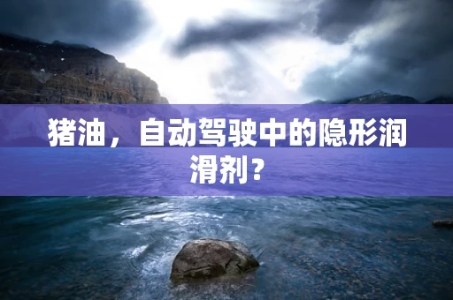 猪油，自动驾驶中的隐形润滑剂？