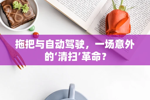 拖把与自动驾驶，一场意外的‘清扫’革命？