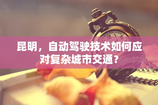 昆明，自动驾驶技术如何应对复杂城市交通？