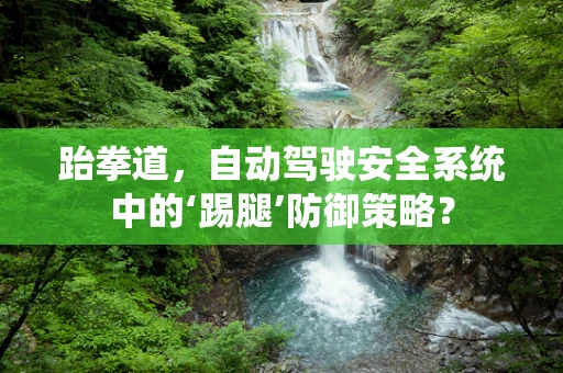 跆拳道，自动驾驶安全系统中的‘踢腿’防御策略？