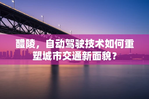 醴陵，自动驾驶技术如何重塑城市交通新面貌？