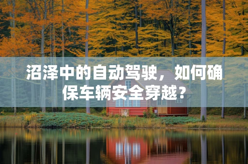 沼泽中的自动驾驶，如何确保车辆安全穿越？