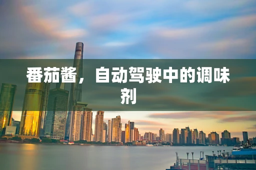 番茄酱，自动驾驶中的调味剂