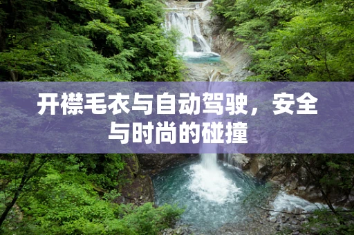 开襟毛衣与自动驾驶，安全与时尚的碰撞