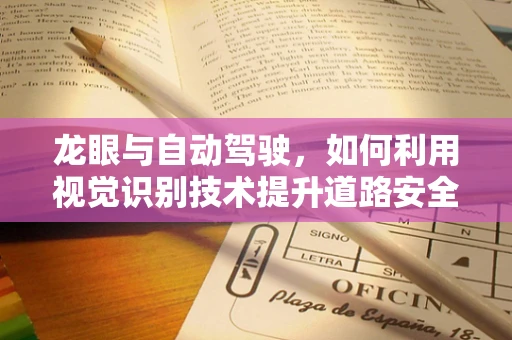 龙眼与自动驾驶，如何利用视觉识别技术提升道路安全？