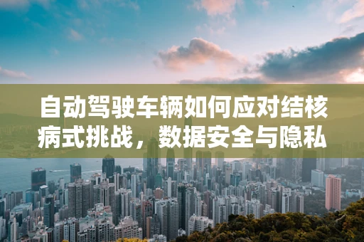 自动驾驶车辆如何应对结核病式挑战，数据安全与隐私保护的挑战？