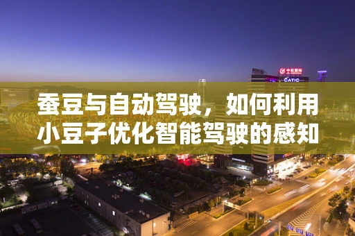 蚕豆与自动驾驶，如何利用小豆子优化智能驾驶的感知能力？