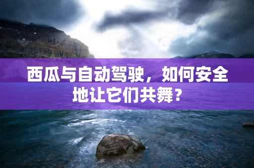 西瓜与自动驾驶，如何安全地让它们共舞？