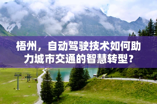 梧州，自动驾驶技术如何助力城市交通的智慧转型？