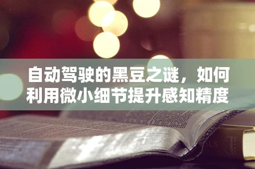 自动驾驶的黑豆之谜，如何利用微小细节提升感知精度？