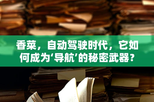 香菜，自动驾驶时代，它如何成为‘导航’的秘密武器？