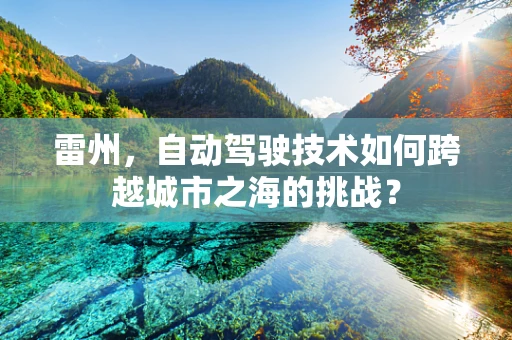 雷州，自动驾驶技术如何跨越城市之海的挑战？