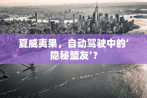 夏威夷果，自动驾驶中的‘隐秘盟友’？