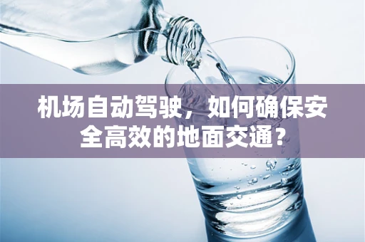 机场自动驾驶，如何确保安全高效的地面交通？