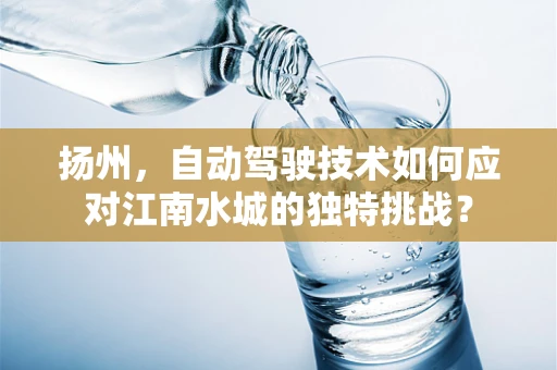 扬州，自动驾驶技术如何应对江南水城的独特挑战？