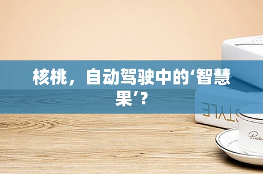 核桃，自动驾驶中的‘智慧果’？