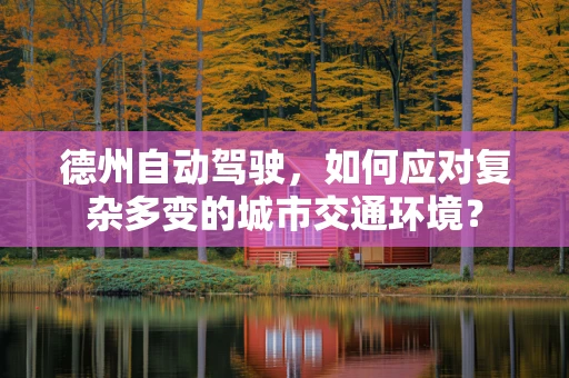 德州自动驾驶，如何应对复杂多变的城市交通环境？