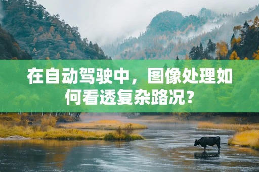 在自动驾驶中，图像处理如何看透复杂路况？