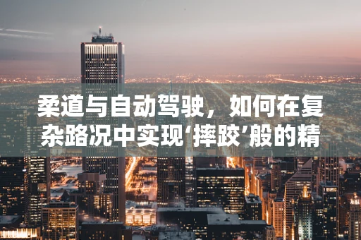 柔道与自动驾驶，如何在复杂路况中实现‘摔跤’般的精准控制？