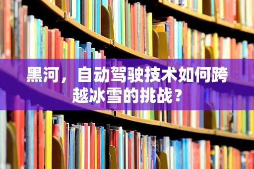 黑河，自动驾驶技术如何跨越冰雪的挑战？