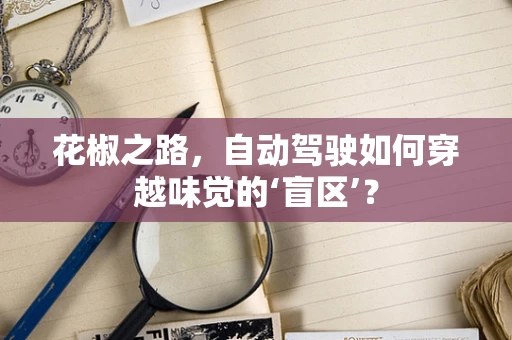 花椒之路，自动驾驶如何穿越味觉的‘盲区’？