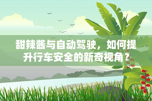 甜辣酱与自动驾驶，如何提升行车安全的新奇视角？