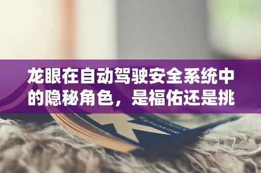 龙眼在自动驾驶安全系统中的隐秘角色，是福佑还是挑战？