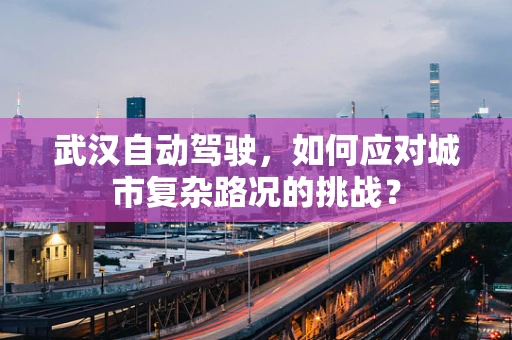 武汉自动驾驶，如何应对城市复杂路况的挑战？