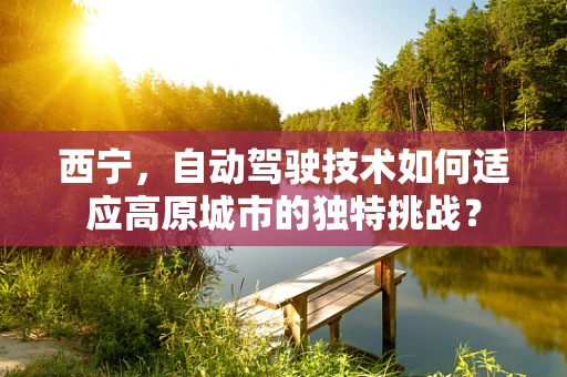 西宁，自动驾驶技术如何适应高原城市的独特挑战？